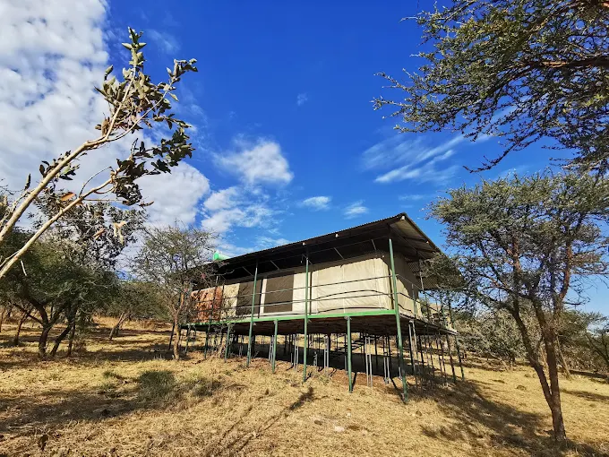 ngorongoro wild camp