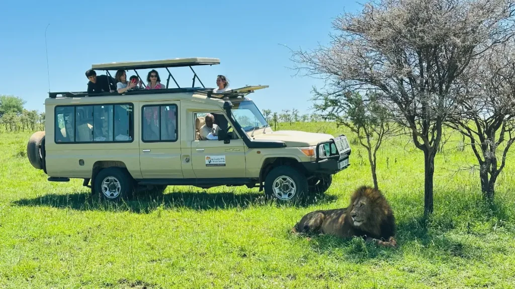 Best Tanzania safari itinerary