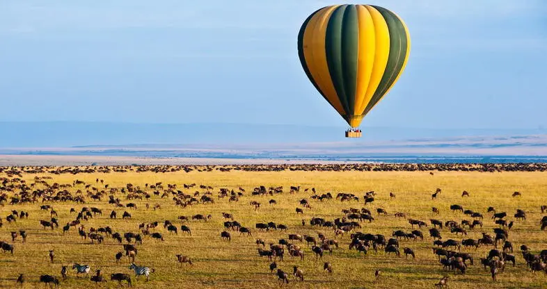 hot air balloon during dry season in Serengeti