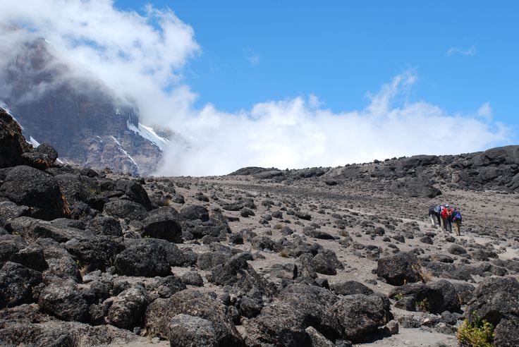 Climbers ascending Mount Kilimanjaro via the Machame Route, hiking above the clouds toward Uhuru Peak with glaciers visible near the summit and alpine desert landscape surrounding the trail.