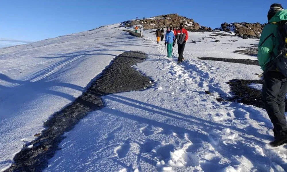 Kilimanjaro trekking with German speaking guide