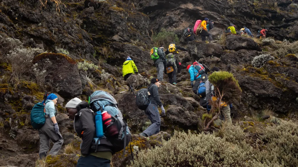 kilimanjaro trekking with Arabic speaking guide