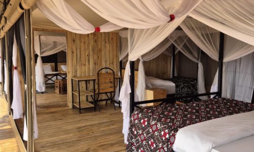 20240731_153731-scaled