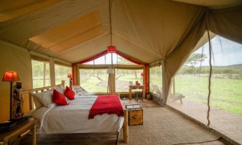 asanja luxury camp