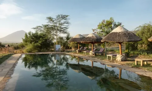 Africa Safari Lake Natron