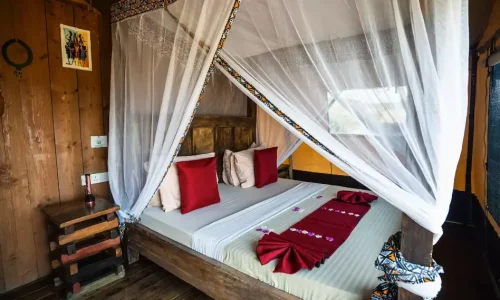 Africa Safari Lake Natron