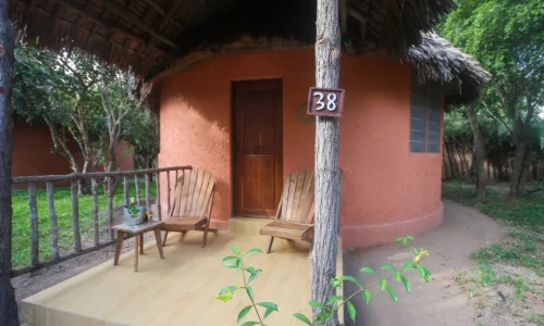 Africa Safari Selous