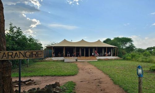 Campo di Ang'ata Tarangire