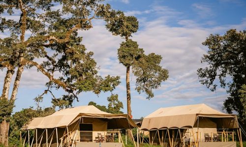 Ang'ata ngorongoro-top-1