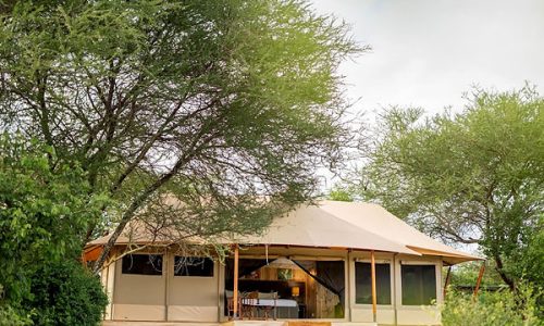 Campo di Ang'ata tarangire