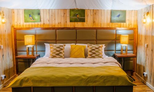 Campo di Ang'ata tarangire