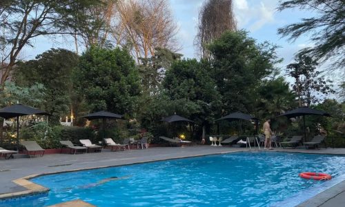 एलीन्स ट्री इन