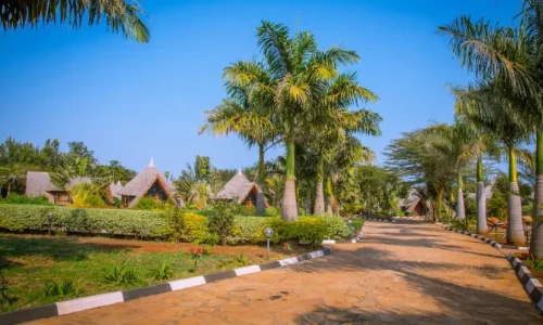 farm of dreams karatu