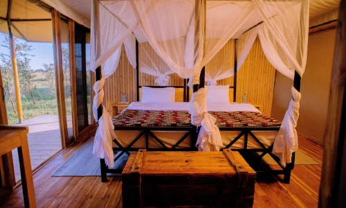 Glimpse of Africa Camp