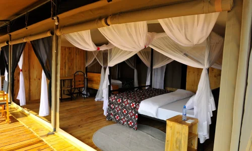 Glimpse of Africa Camp