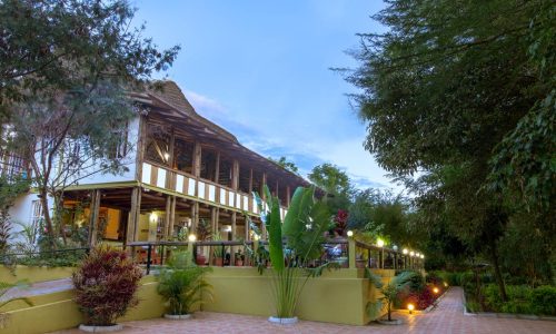 एलीन्स ट्री इन