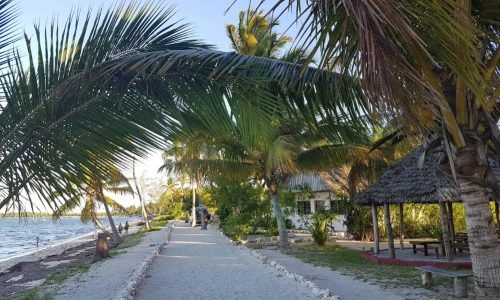 Kilwa Beach Lodge