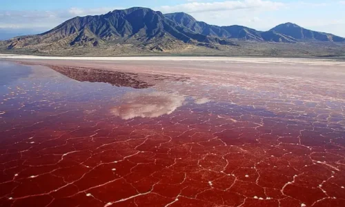 Lake Natron Tanzania
