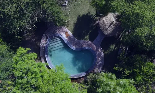 Masai giraffe eco-lodge