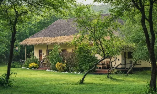 Masai giraffe eco-lodge