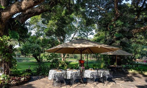 MOUNT MERU GAME LODGE