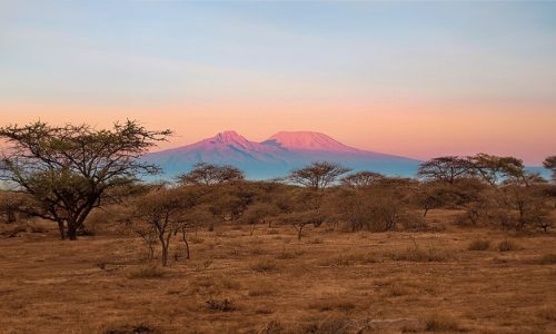 5 days tanzania lodge