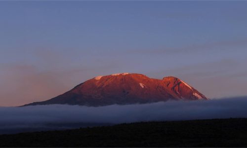 kilimanjaro