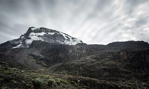 kilimanjaro