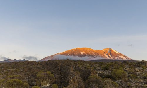 kilimanjaro