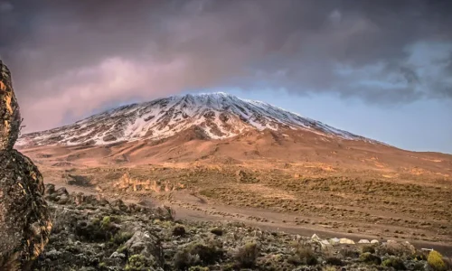 10 days Trekking and safari