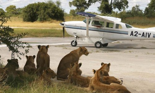 Ngorongoro-Crater-Flights