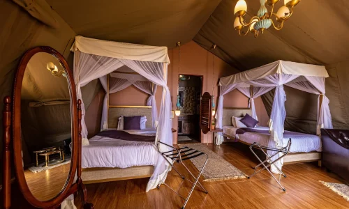 Ngorongoro Safari Lodge