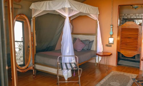 恩戈罗恩戈罗野外营地