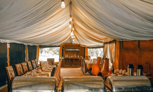 恩戈罗恩戈罗野外营地