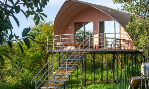 恩戈罗恩戈罗野外营地