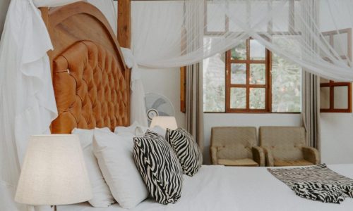 एलीन्स ट्री इन