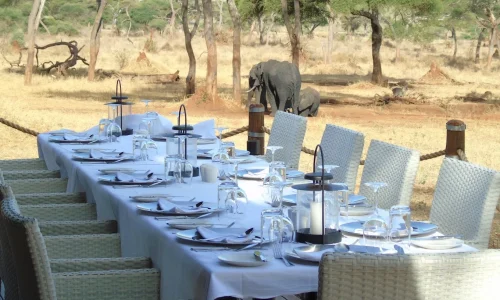 Sanctuary-Swala_Camp