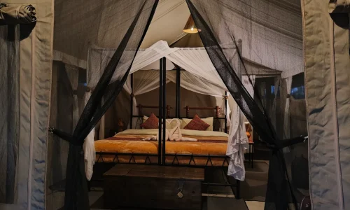 Serengeti Tortilis Camp