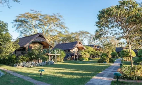 Sweetwaters Serena Camp3