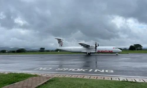 Tanzania Airport Transfers During Safari