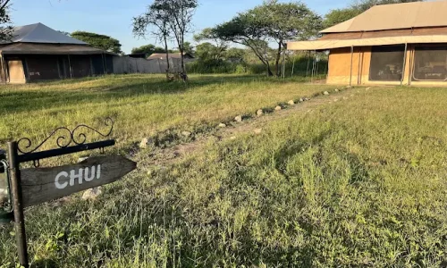 Tanzania bush camps ndutu