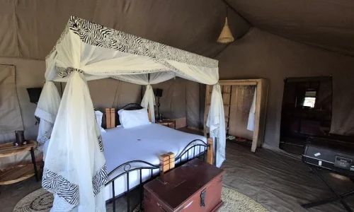 Tanzania bush camps ndutu