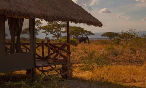 TARANGIRE SIMBA LODGE
