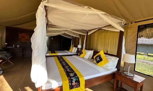 Tarangire Simba Lodge