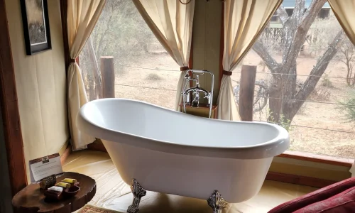 Tarangire kuro treetops