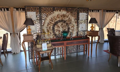 Tarangire-kuro treetops