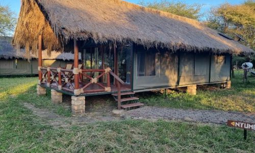 Tarangire Simba Lodge