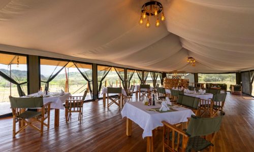 Zuri camp serengeti