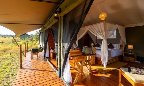 Zuri camp serengeti