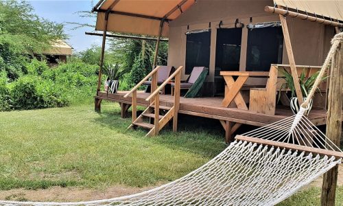 Africa Safari Lake Manyara